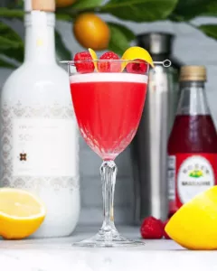 Clover Club Cocktail Recipe