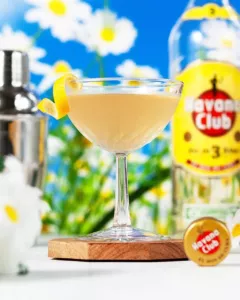 Rum Daisy Cocktail Recipe