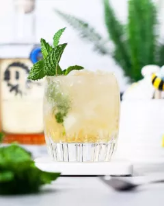 Stinger Cocktail Recipe