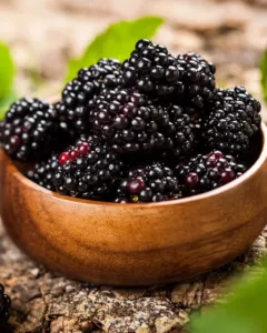 Blackberry Simple Syrup Recipe