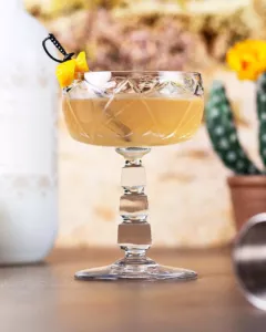 Douglas Fairbanks Cocktail Recipe