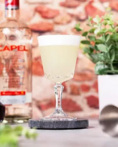 Pisco Sour Cocktail Recipe