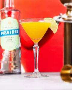 Stork Club Cocktail Recipe