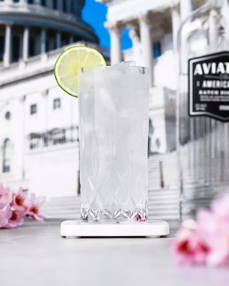 Gin Rickey Cocktail Recipe