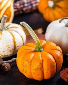 Pumpkin Spice Simple Syrup Recipe