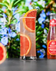 Rosemary Gin & Tonic Cocktail Recipe