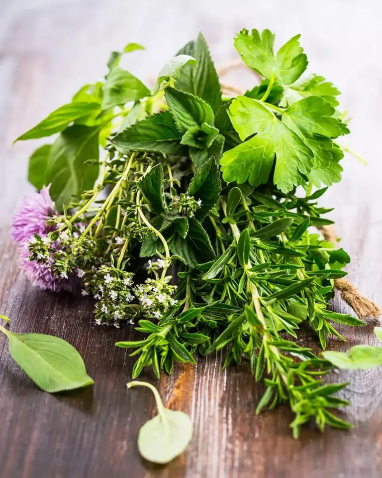 Winter Herb Simple Syrup Recipe