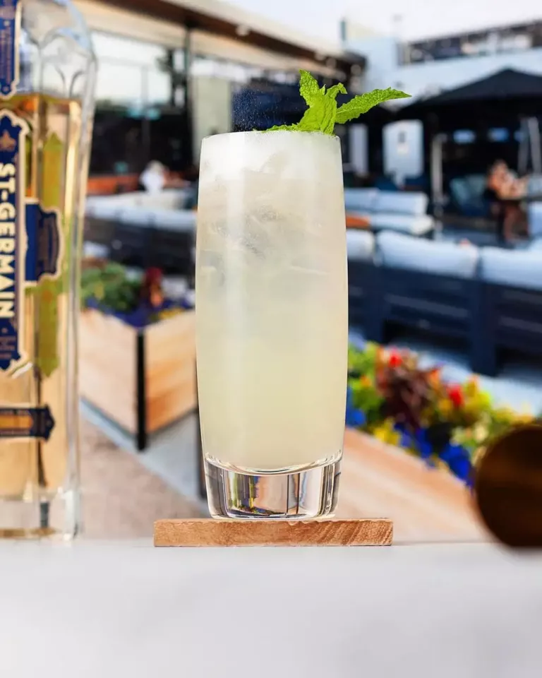 Hugo Mojito Cocktail Recipe